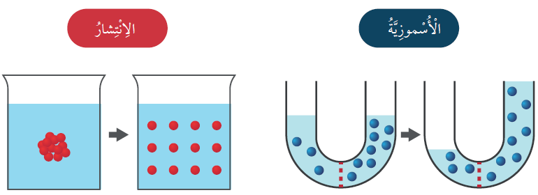 مقارنة بين الخاصية الأسموزية والانتشار مقارنة بين الخاصية الأسموزية والانتشار
